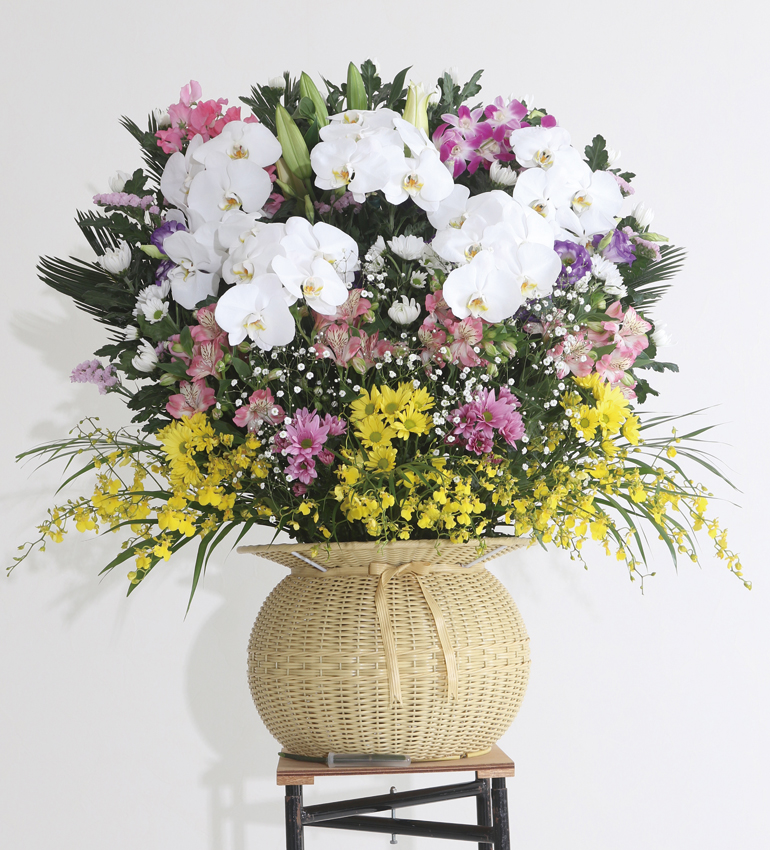 しらた斎場オリジナル　ダルマ生花　胡蝶蘭5本